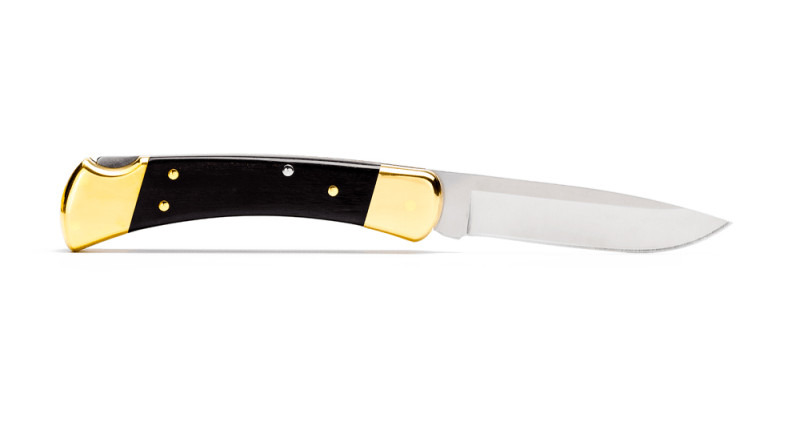 Ніж Buck Folding Hunter Drop Point - 0110BRS6-B
