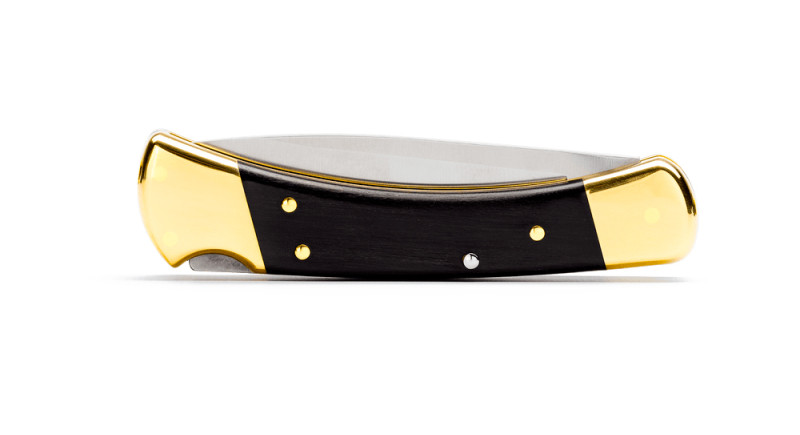 Ніж Buck Folding Hunter Drop Point - 0110BRS6-B