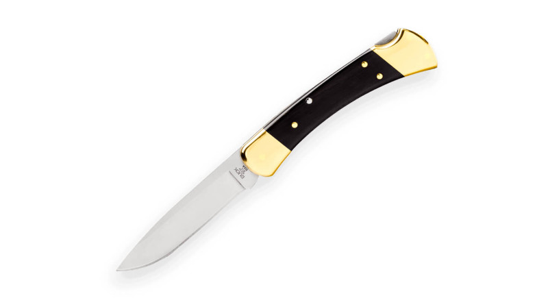 Ніж Buck Folding Hunter Drop Point - 0110BRS6-B